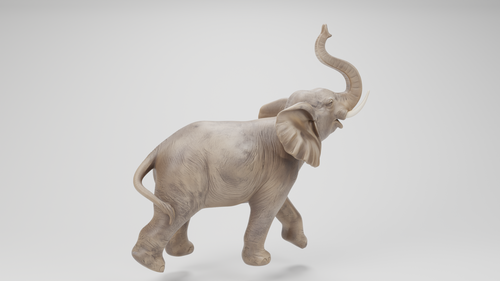 ELEPHANT STL