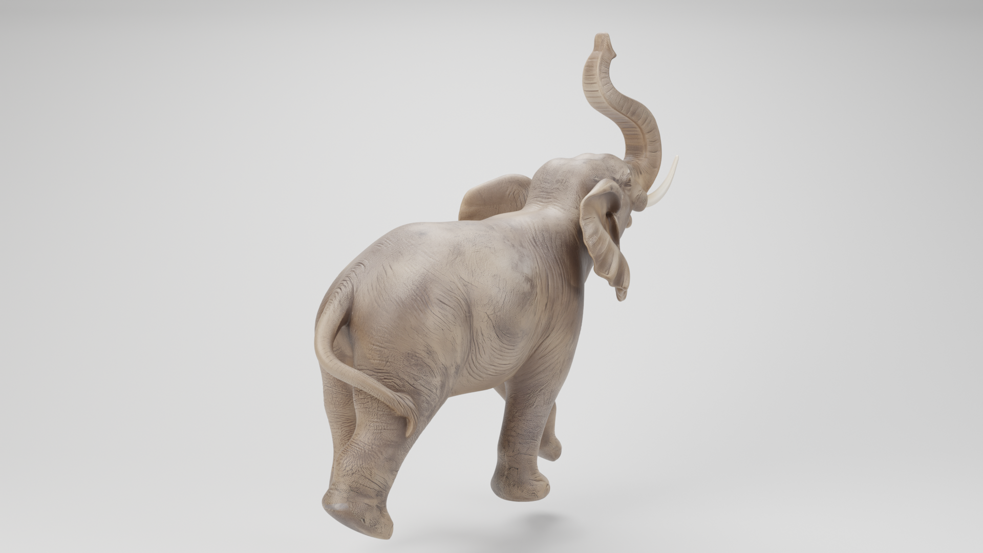 ELEPHANT STL